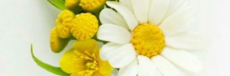 micky9113's profile banner image