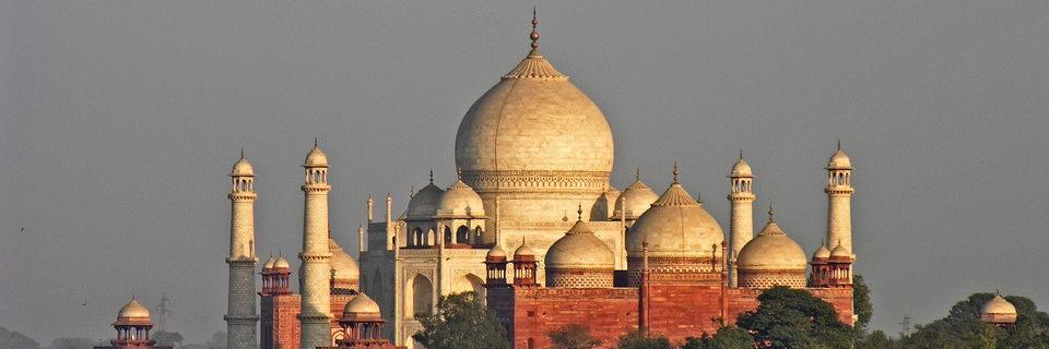 tweetarrowIndia's profile banner image