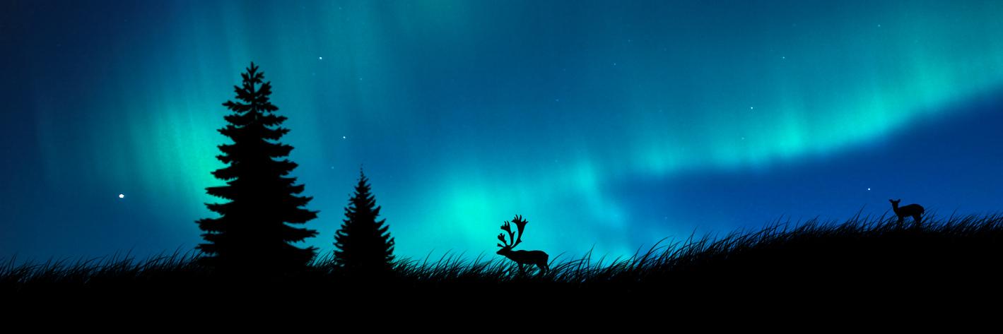 sharkonomics7's profile banner image