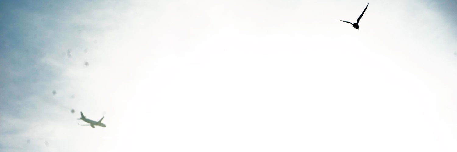 alok227's profile banner image
