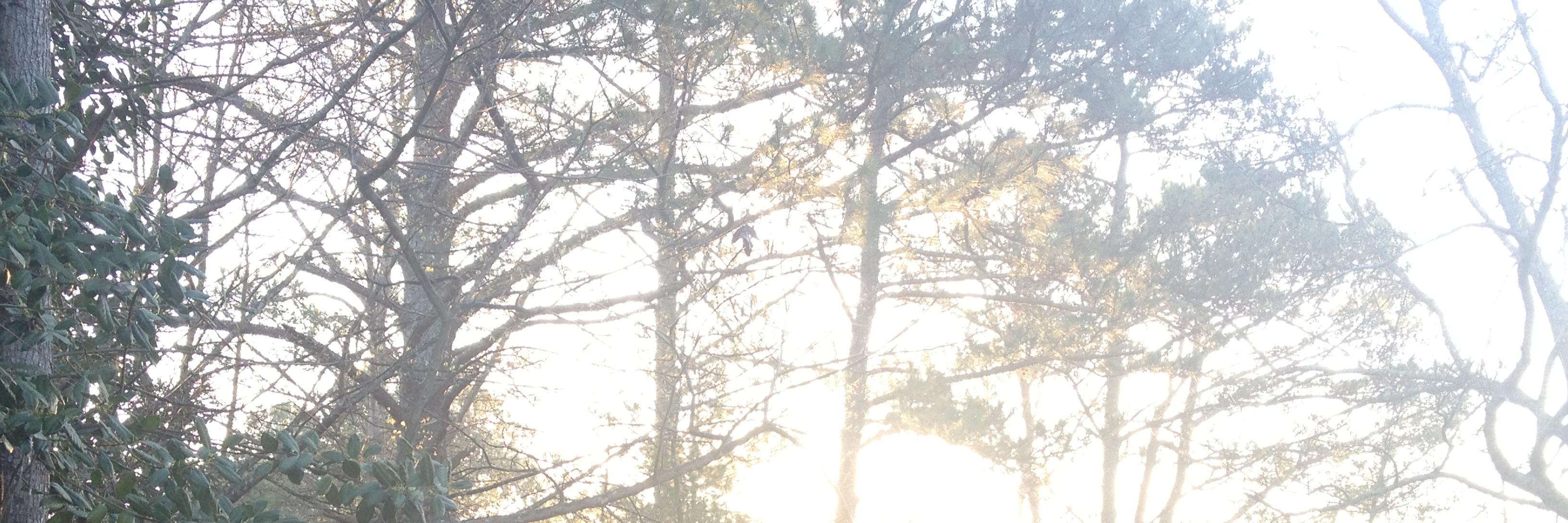 byrmacmf's profile banner image