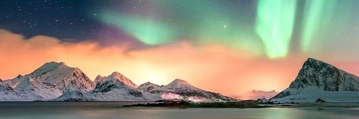 Peter Pargriffin banner