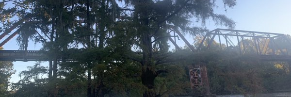 gingerthomp1 Profile Banner
