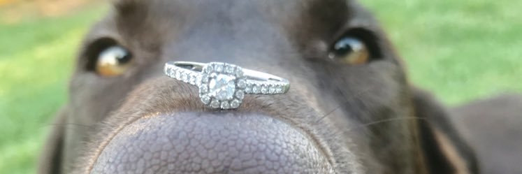 s_lyynne's profile banner image