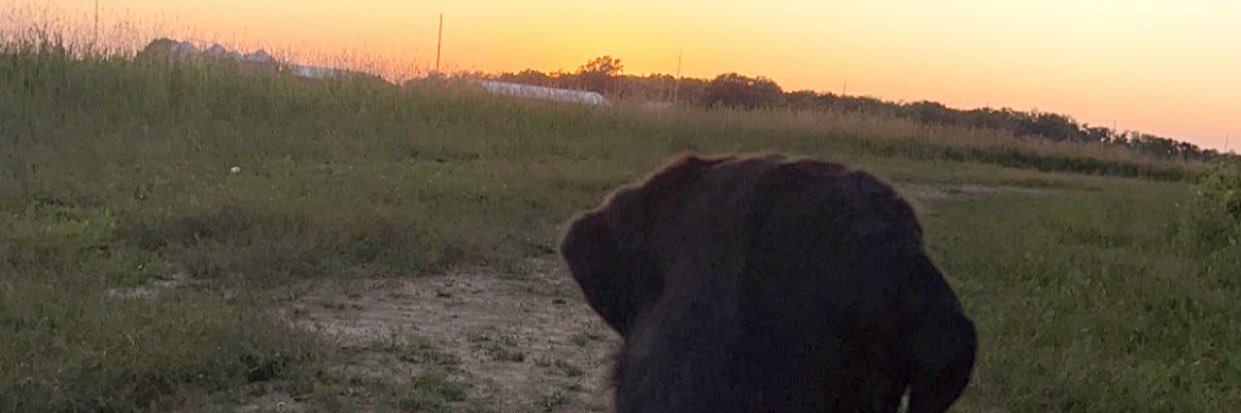 macyschafer13's profile banner image