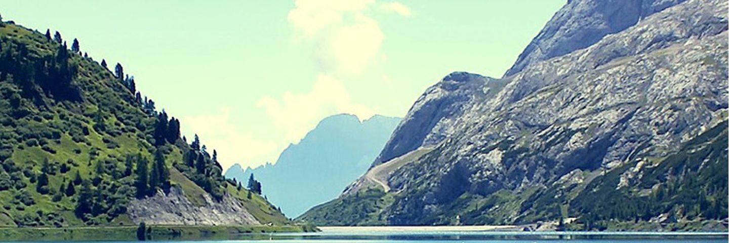 themtvp's profile banner image