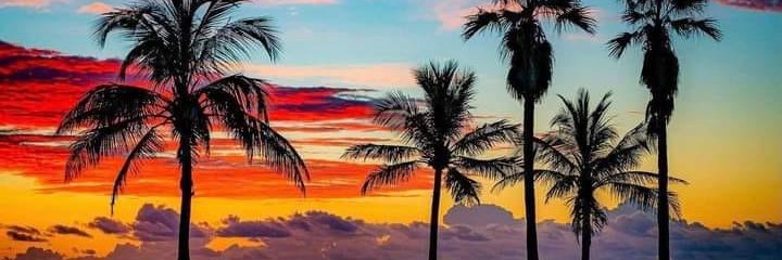 SandyWnchester's profile banner image
