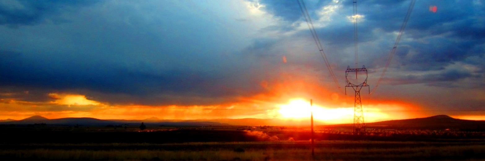 shmallison1's profile banner image