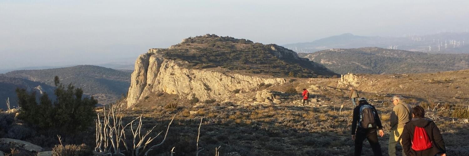 Matías Alonso Blasco banner