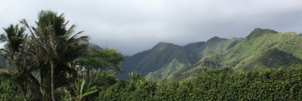 MGardnerRoss's profile banner image
