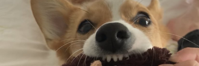 rachpatrick_'s profile banner image