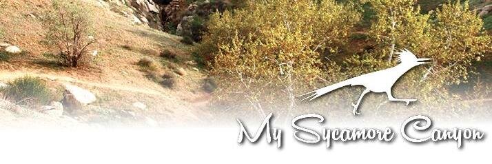 My Sycamore Canyon banner