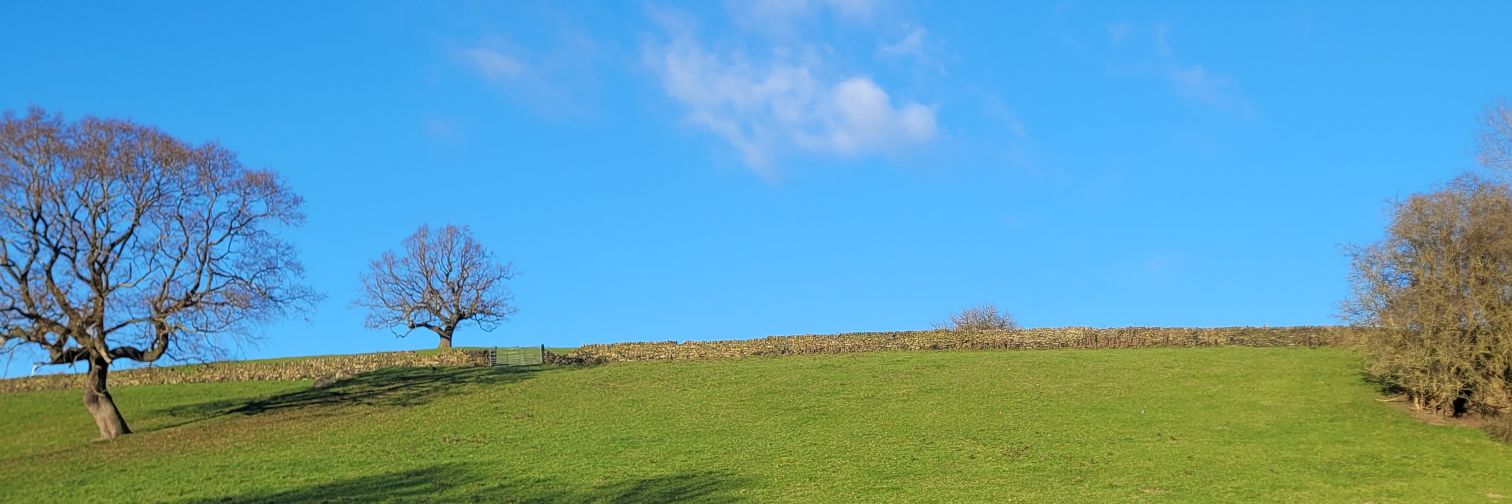 Atro banner