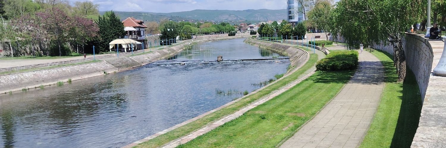 Небојша Дамјановић banner