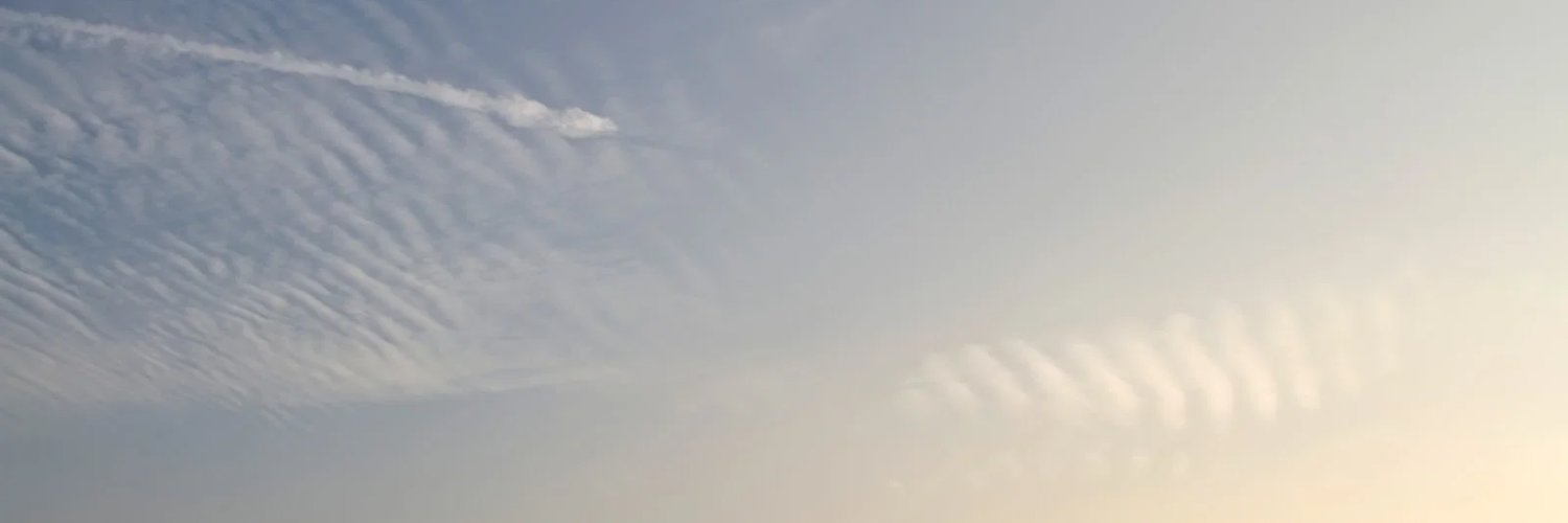 millreef_8131's profile banner image