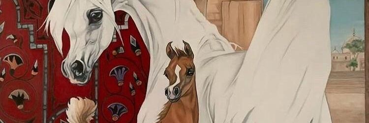 aboazamKW's profile banner image