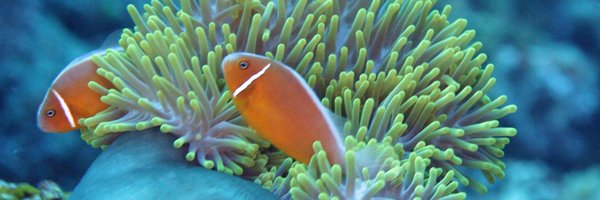 msrlondon Profile Banner