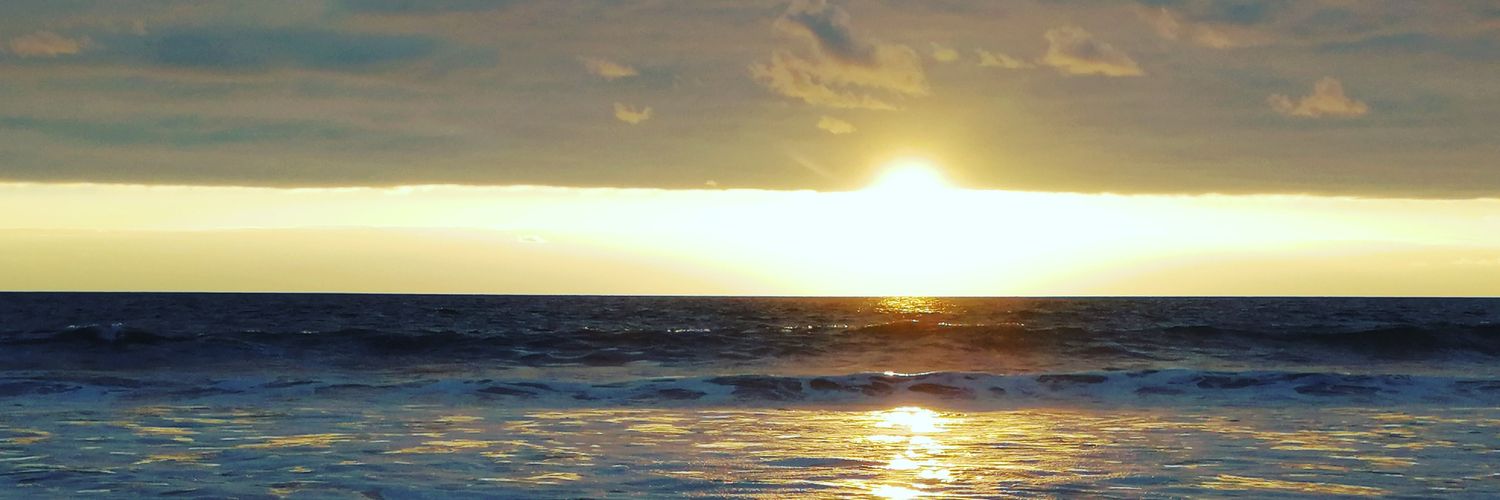 pochito_s's profile banner image