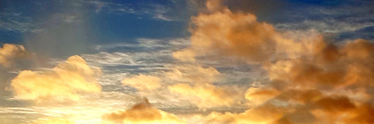 CampbelMorison's profile banner image