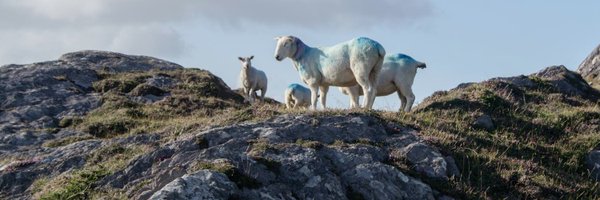 tedbow Profile Banner