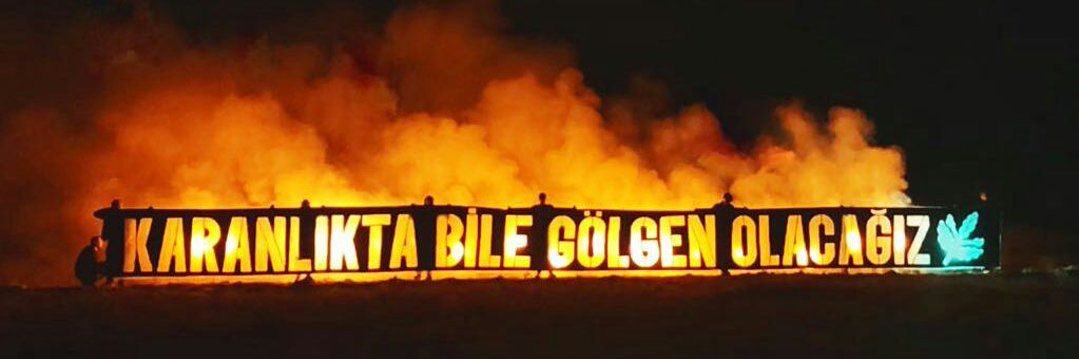 dilara banner