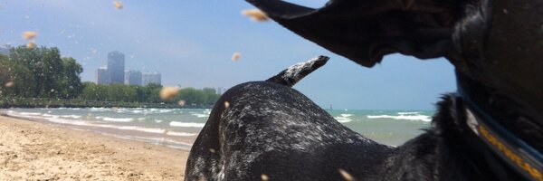 LoTargos Profile Banner