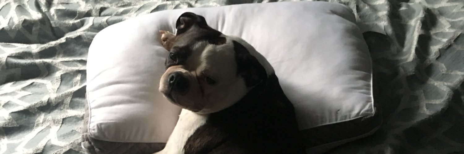 thegreybell's profile banner image