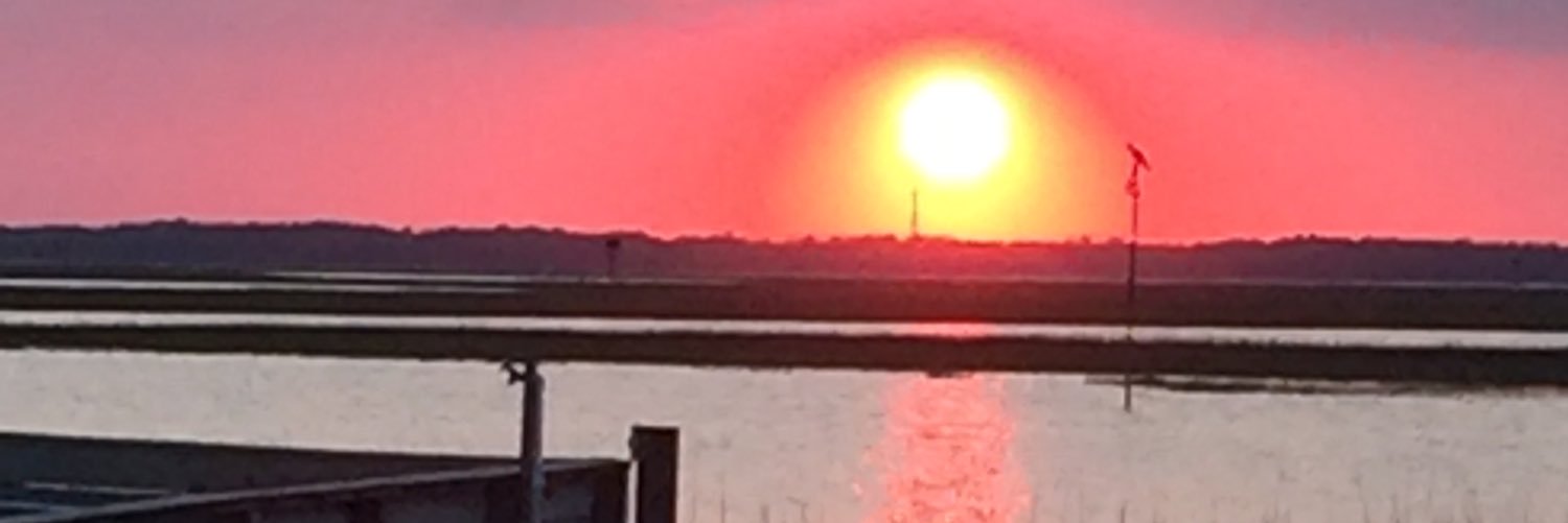 yesnormarae's profile banner image