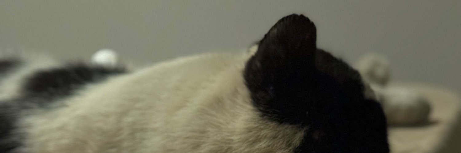 cwaz50's profile banner image