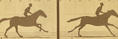 nythoroughbred's profile banner image