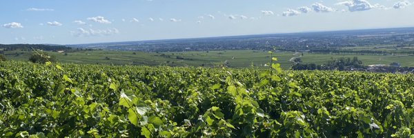 XaviVidi Profile Banner