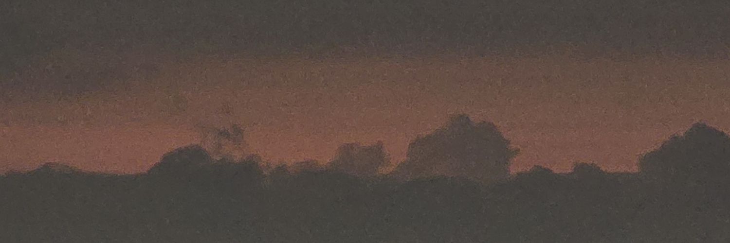 CamposRobados's profile banner image