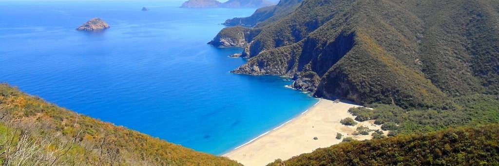 RC-ↇΖ 🇩🇿 ( ͡° ͜ʖ ͡°) 🇩🇿 banner