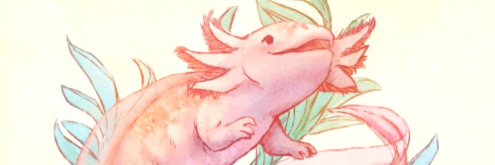 AlanCFlores's profile banner image