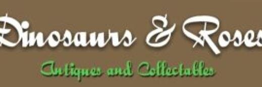 DINOSANDROSES's profile banner image
