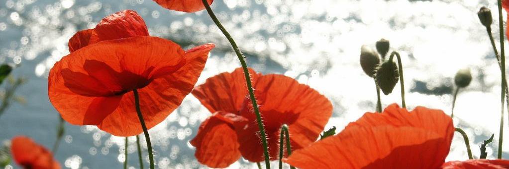 Manu_Galati's profile banner image