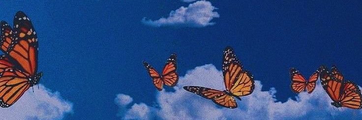 jgheunk's profile banner image