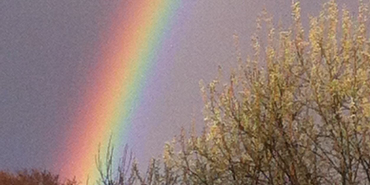mouldyjo's profile banner image
