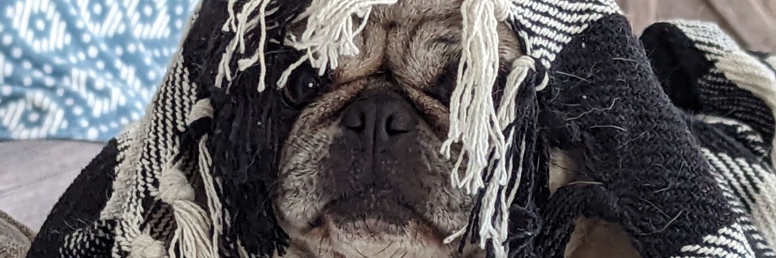 AmberNWaters's profile banner image