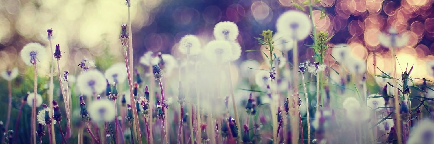 prettytypeEb's profile banner image