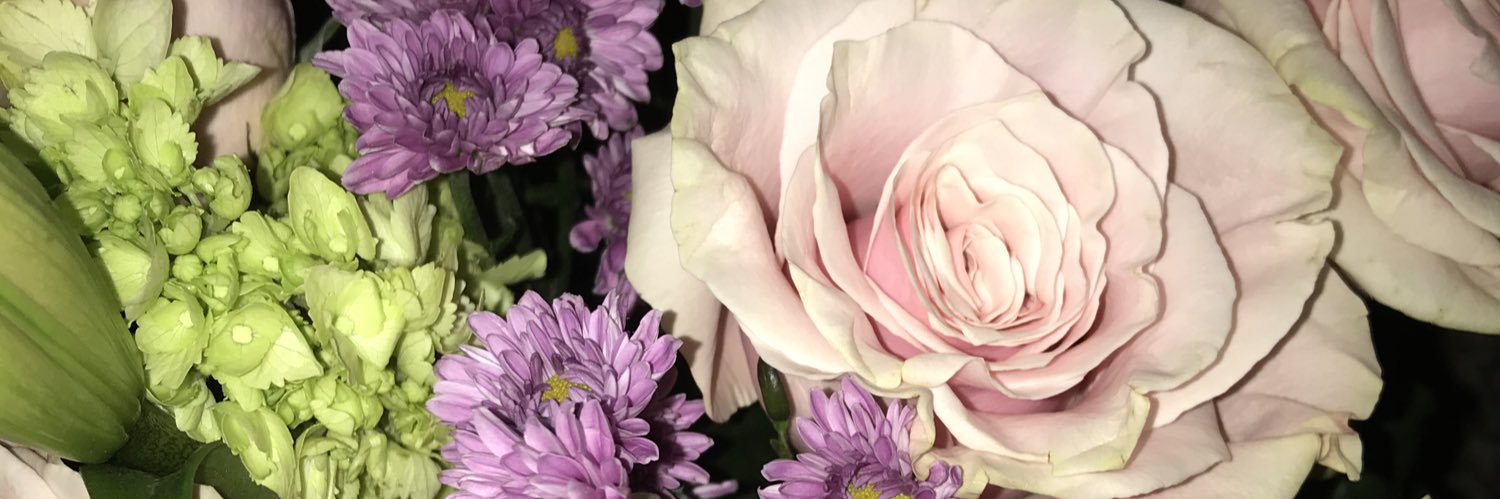 Here_To_Scope's profile banner image