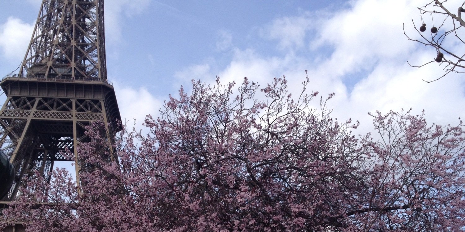 mggilliam's profile banner image