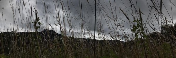 mayaaverbuch Profile Banner