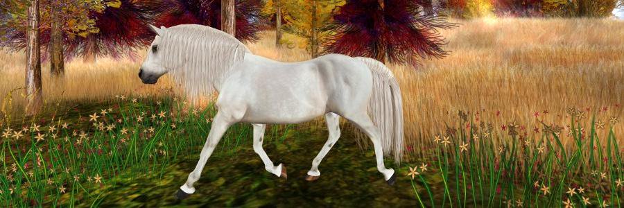 Tyrian_Red's profile banner image