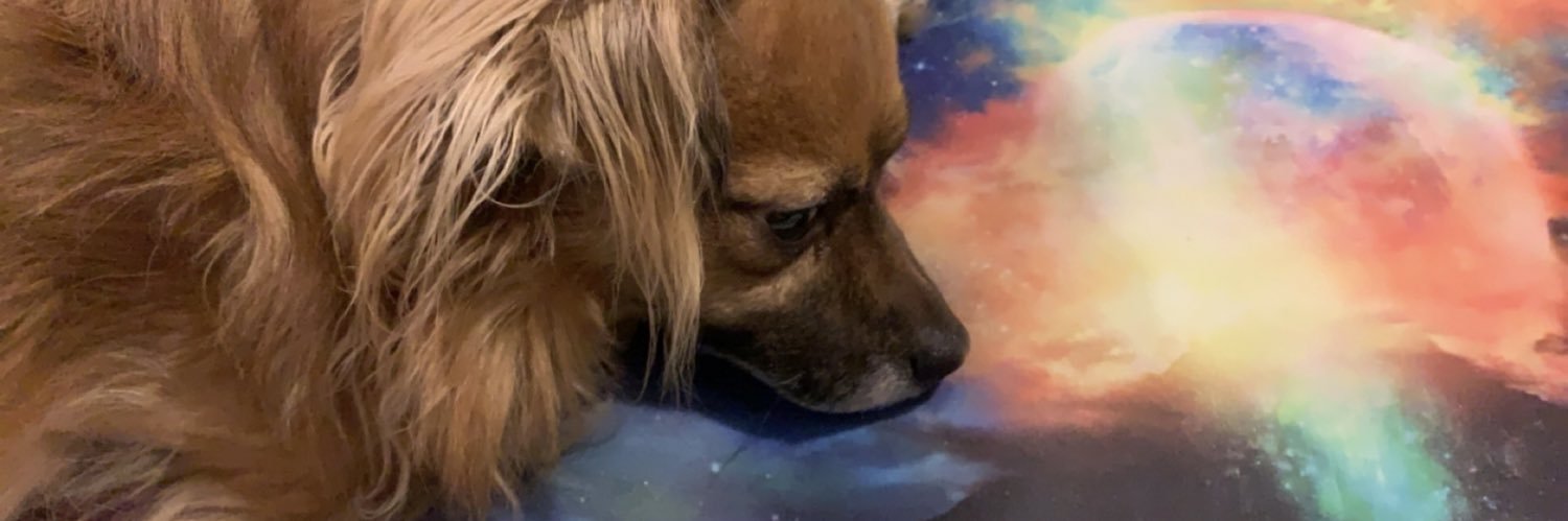 dawrito's profile banner image