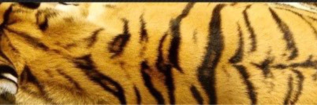 jesadrig79's profile banner image