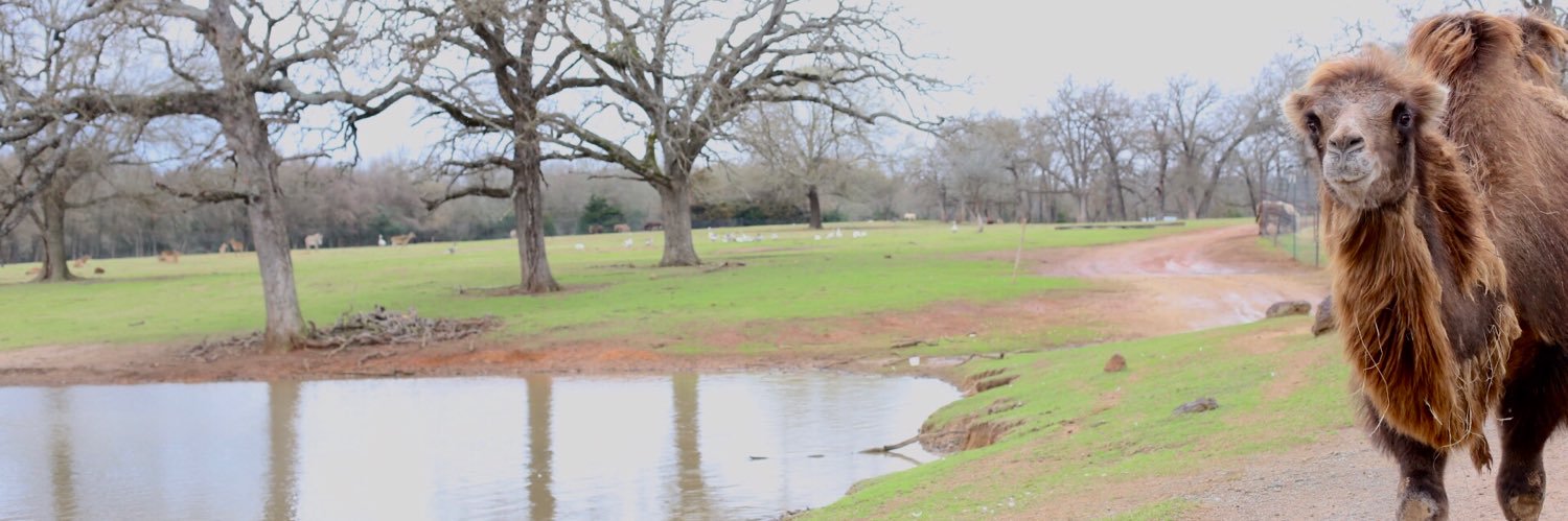 _elliemiller_'s profile banner image