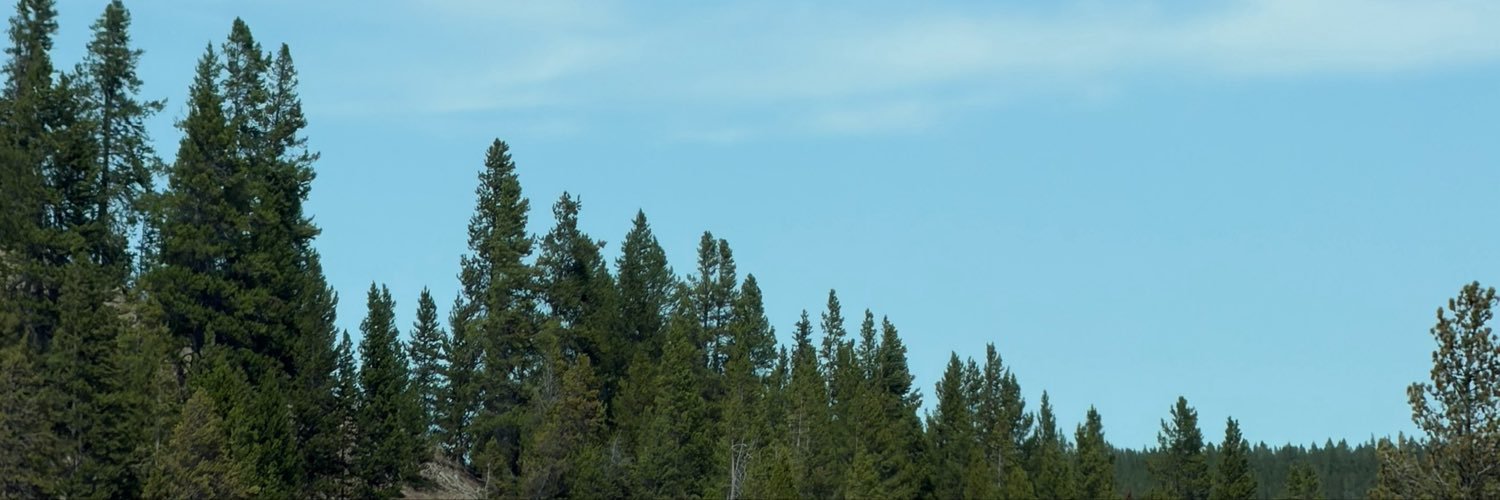joesxf's profile banner image