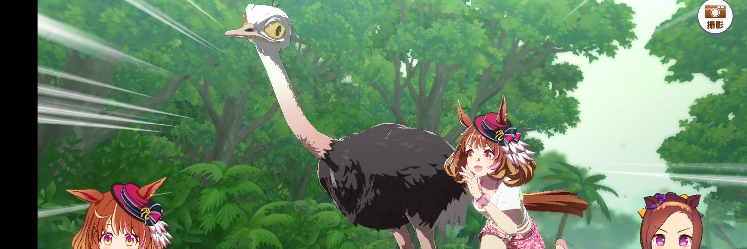 鳩's banner