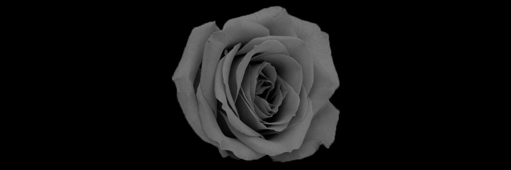 conoize's profile banner image